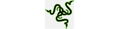 Razer logo
